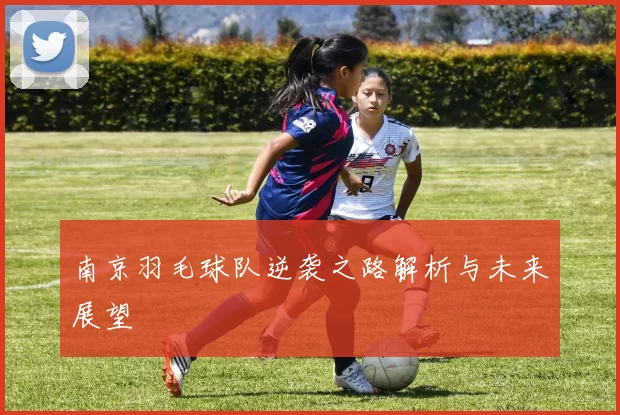 南京羽毛球队逆袭之路解析与未来展望